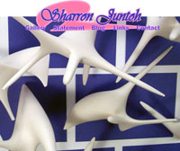 Art Johnson SJ Thumb01